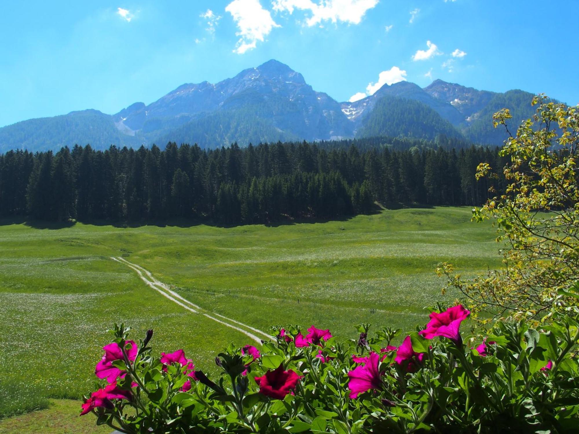 Апартаменты Bauernhof Ober Бирнбаум Экстерьер фото