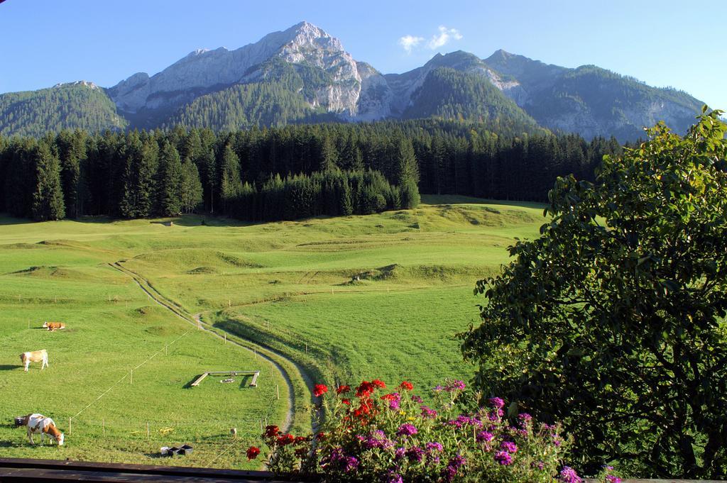 Апартаменты Bauernhof Ober Бирнбаум Экстерьер фото