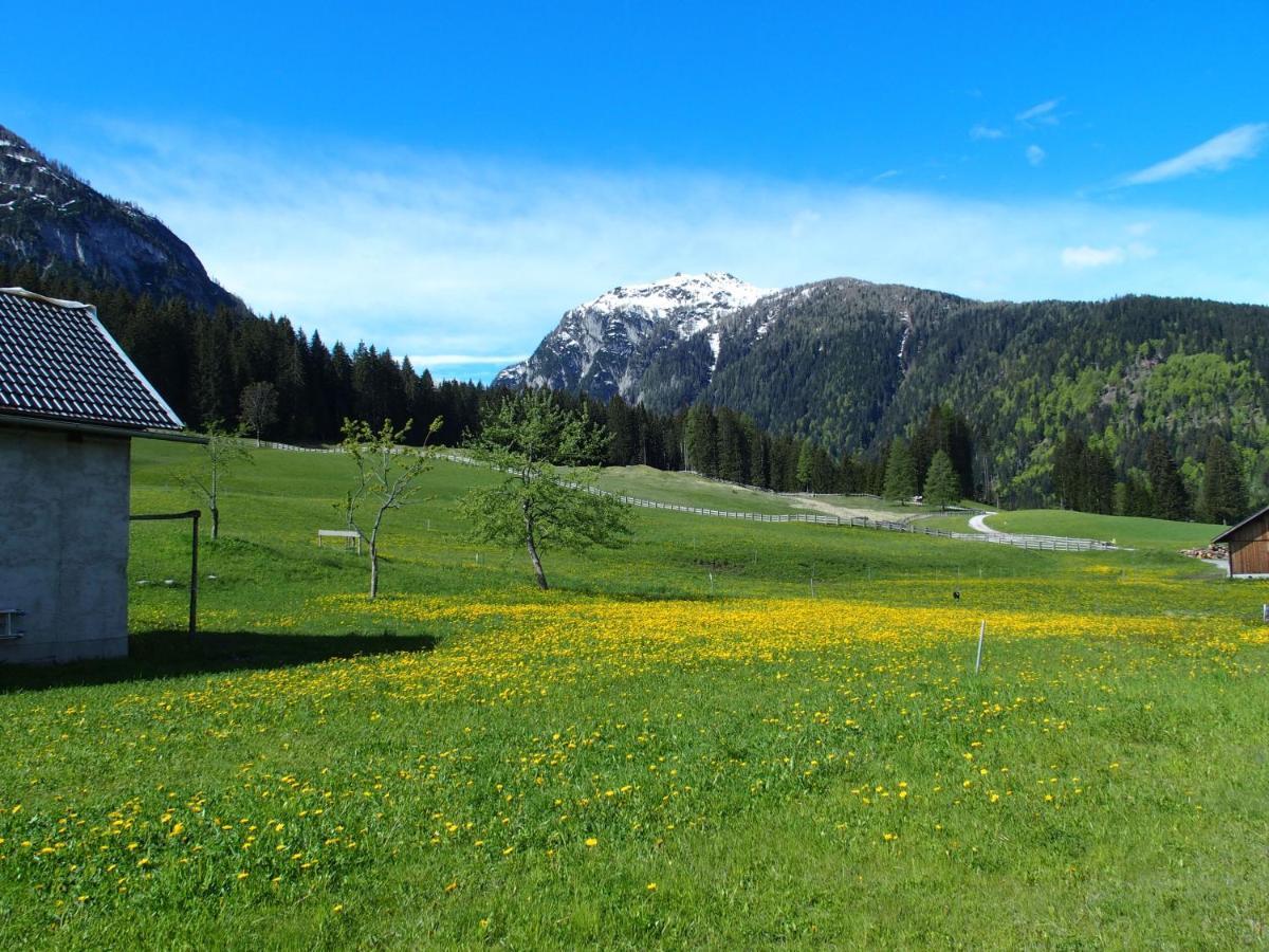Апартаменты Bauernhof Ober Бирнбаум Экстерьер фото
